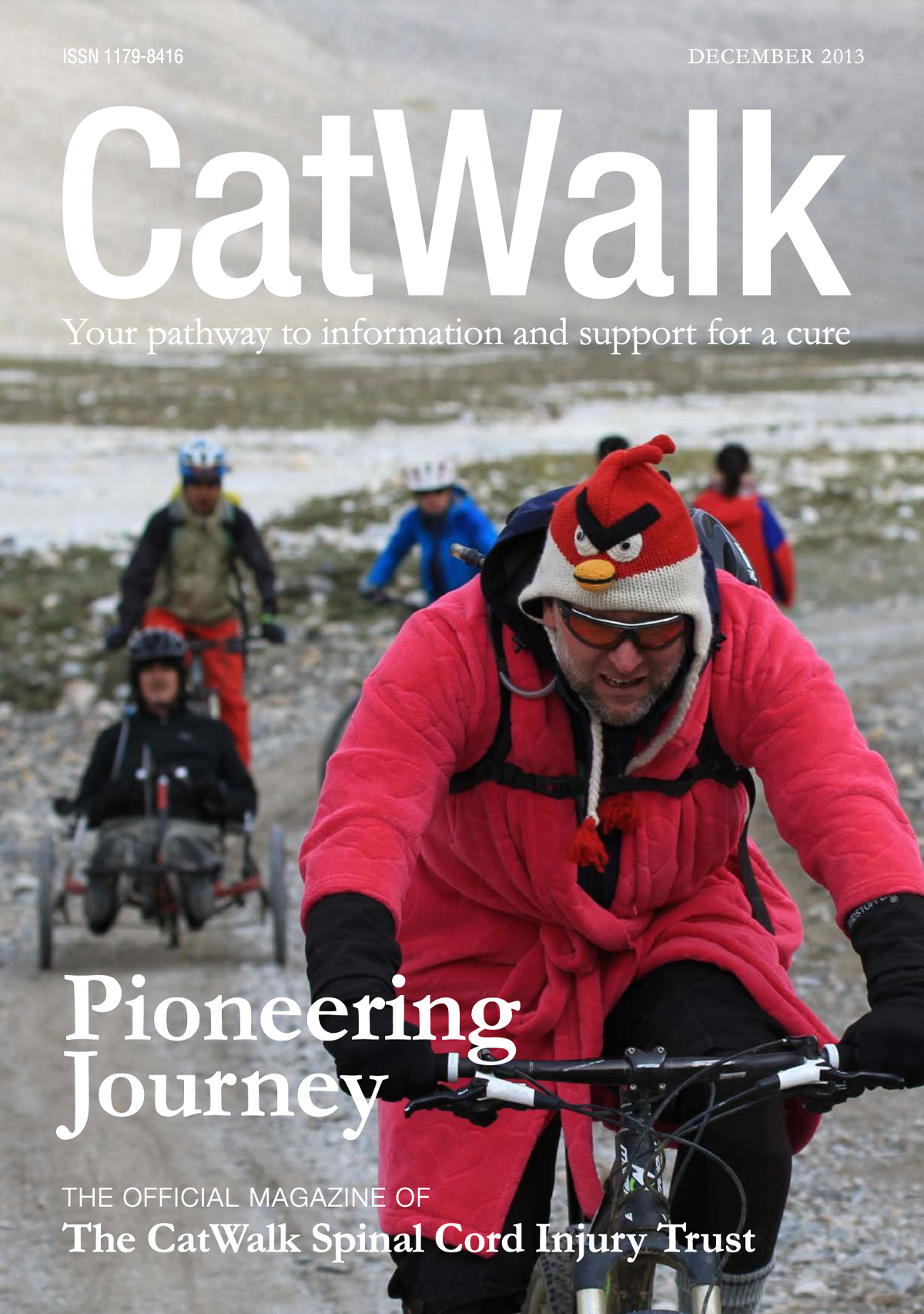 CatWalk Magazine Covers December 2013